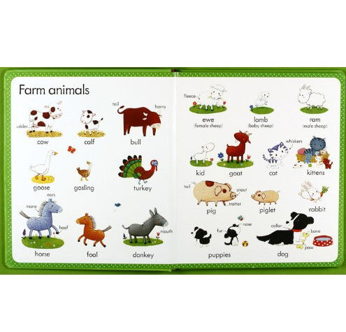 English Dictionary for Baby Learning Book